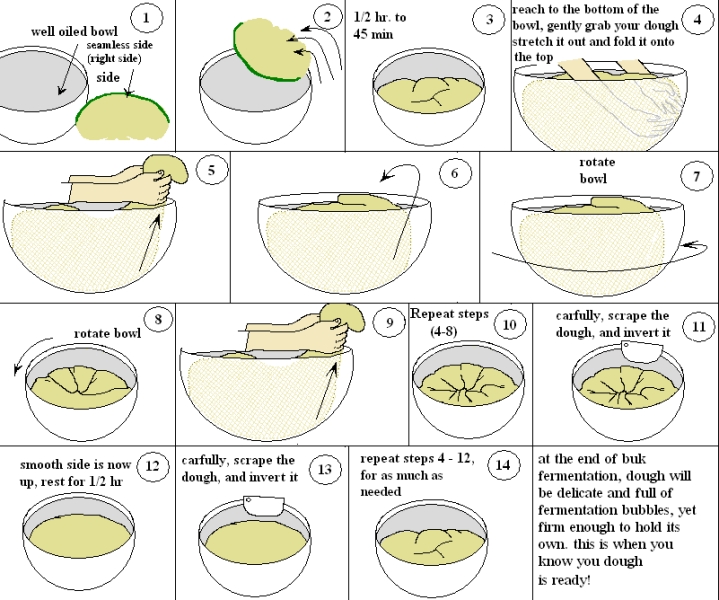 illustration Stretch and Fold in the Bowl The Fresh Loaf